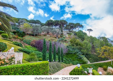 
Amazing Baha'i gardens with cool slops on Mount Carmel. in winter with terraces anf garden pathes  and  trees  ( evergreen and bare ) and fantastic   flowering in December with orange Aloe arborescen - Shutterstock ID 2241272499