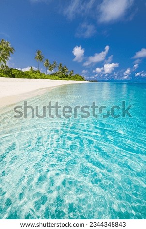 Amazing beach background for summer travel and vacation wellbeing. Beautiful blue sea and relaxing beach coast, tranquil palm trees, white sand. Colorful tropical nature landscape, peaceful inspire