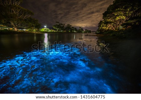an amazing bioluminescence in Tasmania, Australia