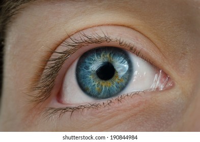 Amazing Blue Eye. High Definition Image.