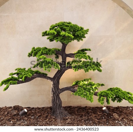 amazing bonsai tree with lighning at bottom