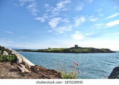 Amazing bright view of Dalkey Island seen from Sorrento Point, Dalkey, Dublin, Ireland. Blue sky and sunny day. Clover flowers in foreground.