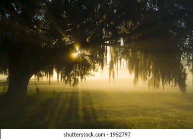 Amazing brilliant sun light in fog 23