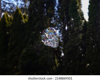 Amazing Bubble Cluster Reflecting Light Of Sun Outdoors.