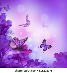 Erstaunliche Schmetterlingsfee aus Blumen, Hydrangen und Iris.
