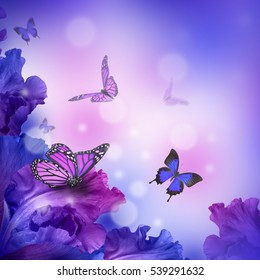 Impresionante hada mariposa flores
