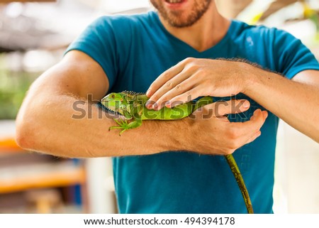 Amazing close up photo man holding in his arms green lizard iguana on background scenic tropical green nature at sunny summer day in Paradise Park Farm Samui / Asia, Thailand, Koh Samui