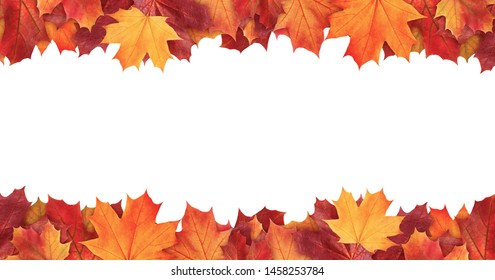 Amazing colorful background of autumn maple tree leaves background with white empty space. Multicolor maple leaves autumn background. High quality resolution picture - Shutterstock ID 1458253784