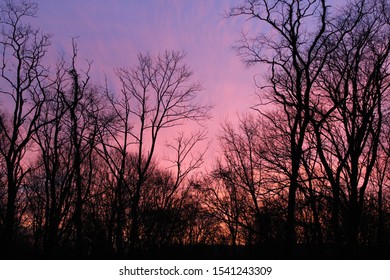 Amazing And Colorful Sunset In The Mountain Of Western Maryland. 