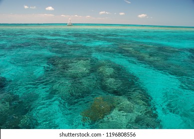 Amazing Colors Of Coral Reefs In John Pennekamp State Park, Key Largo - Florida U.S.A.