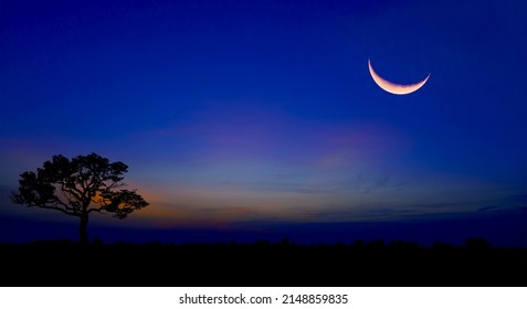 Amazing crescent moon on dark blue night sky background, universe full of stars, nebula and galaxy.   - Powered by Shutterstock