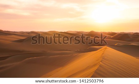 Amazing desert sunset. Beautiful Arabian desert with warm colors. Colorful contours of sand dunes at Abu Dhabi. 
