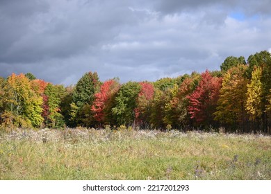 Amazing Fall Foliage In Northeast Ohio