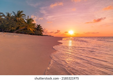Amazing fantasy landsape, dream nature beach shore, palm trees silhouette. Closeup waves splashing relaxing topical paradise scenic, summer background. Dusk sundown coast, inspire fantastic zen nature