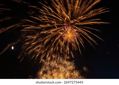 Amazing firework explosion in the night sky 	