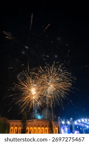 Amazing firework explosion in the night sky 	