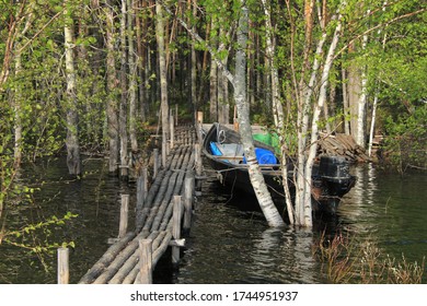 Amazing Fishing In Ural Wild River. Ural Federal District, Russia