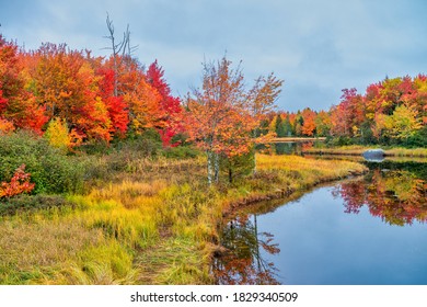 Amazing foliage colors. New England lake and forest in autumn season. - Powered by Shutterstock