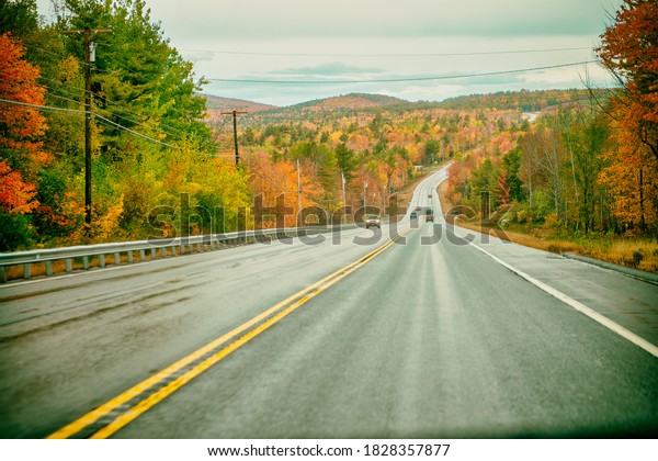 Amazing foliage colors. New England road through\
the forest in autumn\
season.