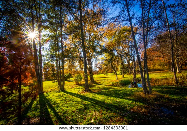 Amazing foliage in New York. Morning sunlight
spills over the golden foliage.  Long Island is one of the most
popular destination for scenic drives, bike trails, foliage and
nature lovers.