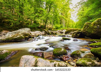 Amazing forest nature with river stream with rocks in wonderful spring summer sunlight. Nature wonderland small waterfall in green forest lush and foliage landscape. Beautiful nature landscape