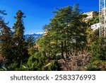 AMAZING GARDENING IN LUGANO SUBURB (BEGINNING OF OLIVE TRAIL). Behind Lugano city  In distNCE SNOWCpped mountains. Ar right corner - villas on steep slope of  Monte Bre