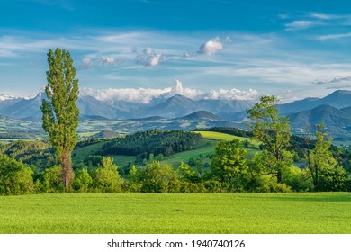 Amazing green hills and high mountains in Provence, France. Spring countryside landscape