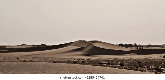 an amazing image of desert looking stunning  - Shutterstock ID 2285424741