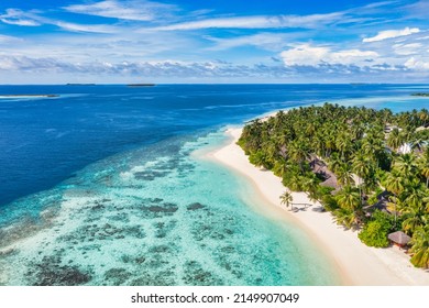 Amazing island beach. Maldives from aerial view tranquil tropical landscape seaside with palm trees on white sandy beach. Exotic nature shore, luxury resort island. Beautiful summer holiday tourism - Powered by Shutterstock