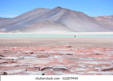 Amazing Landscape In Atacama Desert Chile