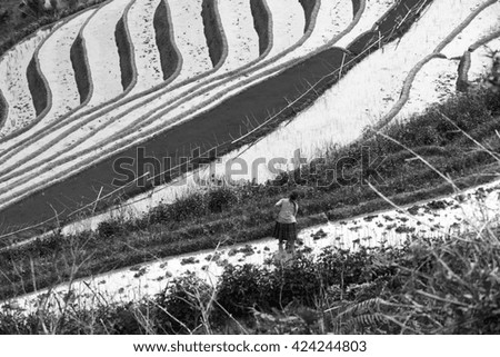 Similar – Image, Stock Photo Iceland Environment Nature