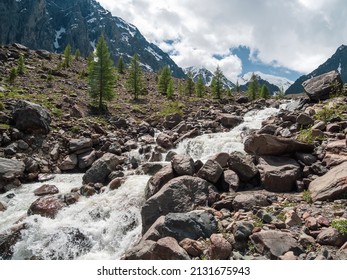 Amazing Landscape With Powerful Mountain River And Coniferous Forest In Green Valley Against High Sharp Rocks And Snowy Mountain Range Under Cloudy Sky. Mountain Creek At Rainy Changeable Weather.