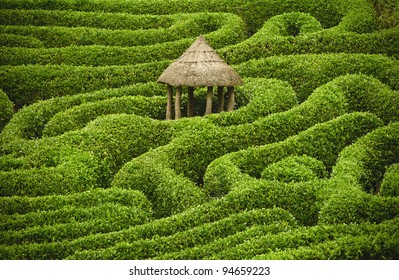 Amazing Maze