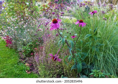 Amazing mixborder in Garden of plants in Paris in autumn. Fantastic tall perennials in the botanical garden in late October - pink flowers and cereals! - Shutterstock ID 2052835496