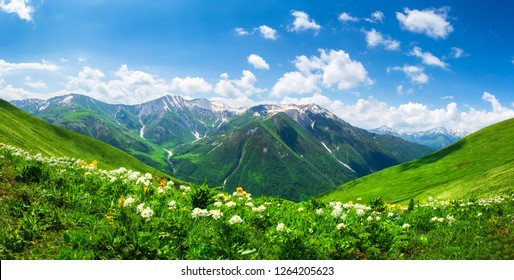 Amazing mountain landscape in Georgia on sunny summer day. Alpine green meadow in Caucasus highlands. Idyllic valley in Svaneti mountains.