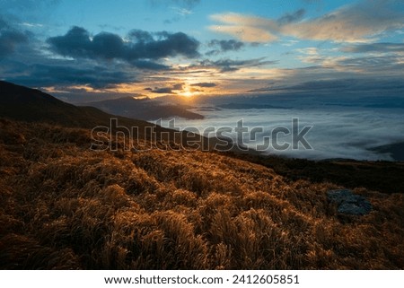 Amazing mountain wilderness. Scenic landscape high in the mountains with wildgrass illuminated by the first rays of rising sun
