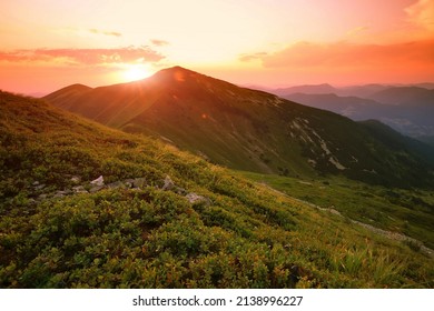 amazing mountains scenery, picturesque summer sunset view on meadow on background valley, Europe, Ukraine, Carpathian mountains