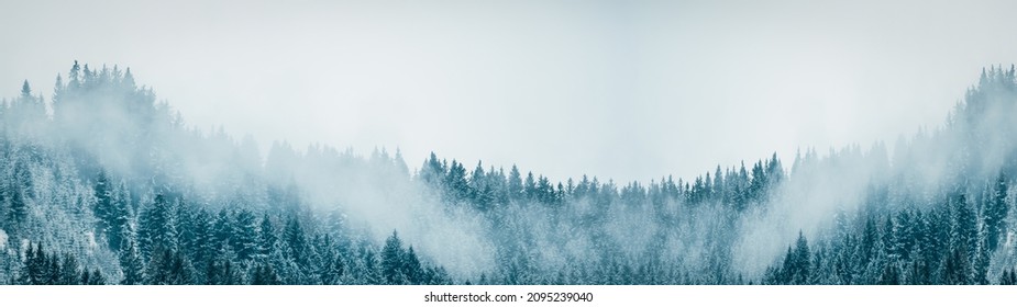 Amazing mystical rising fog forest snow snowy trees landscape snowscape in black forest ( Schwarzwald ) winter, Germany panorama banner - dark mood.	
 - Powered by Shutterstock