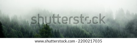 Amazing mystical rising fog forest trees landscape in black forest ( Schwarzwald ) Germany panorama banner  - Dark mood	
