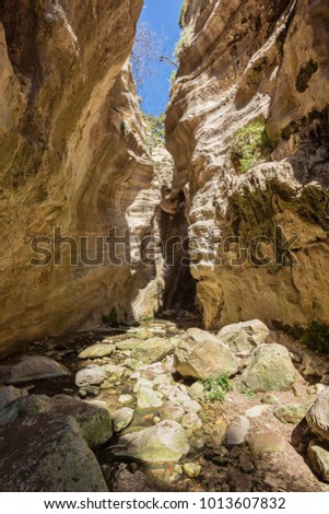 Amazing natural landscape in the Avakas canyon in Cyprus. National sunny wild park with cliffs, mountains, rocks and trees. Deep natural valley to discovery for tourists and travelers