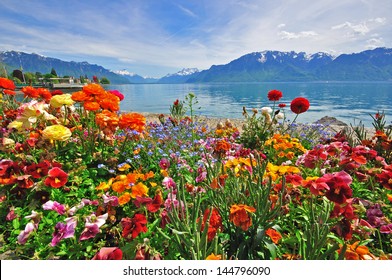 Amazing natural landscape with colorful flowers, mountains, lake and blue sky. Summer scene on Geneva lake, Switzerland