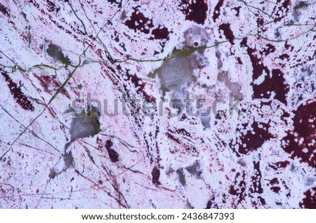 Amazing natural pattern and texture of slice of light colored jasper mineral for background. Natural white and red jasper stone with green wiens. Beautiful color spots on polished slice jasper surface