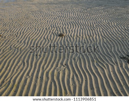 Similar – traces Umwelt Natur Sand