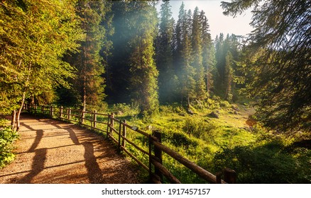 Amazing nature lanscape. Scenic image of fairy-tale woodland in sunlit. Hiking trail in autumn forest under sunlight. Popular travel destination. Awesome natural Background.