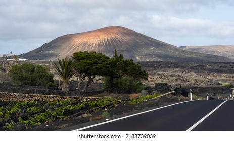 Amazing Nature Of Lanzarote, Land Of Volcanoes And Wine, Canary Islands, Spain