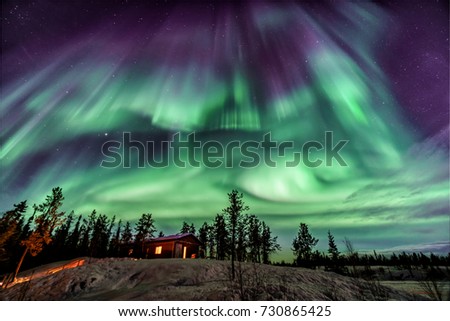 Amazing Northen Lights in purple and blue color dancing over chalet in Yellowknife