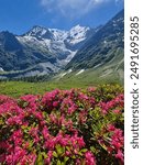 Amazing panorama of French Alps, part of famous trek - Tour du Mont Blanc