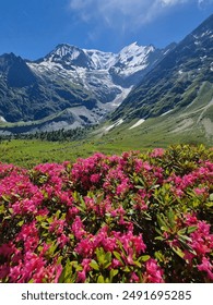 Amazing panorama of French Alps, part of famous trek - Tour du Mont Blanc