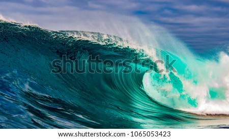 Amazing, perfect wave