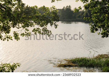 Amazing picture capturing magical untouched nature in non-urban scene, calm lake and green foliage, illuminated by sunshine. Idyllic place for relaxation and mesmerizing flora view on summer day.